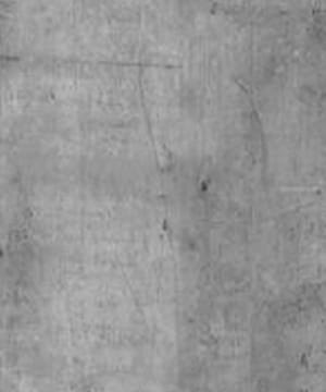 Large-scale wall cladding
